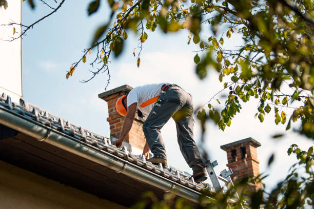 Best Chimney Flashing Repair  in Rural Hall, NC